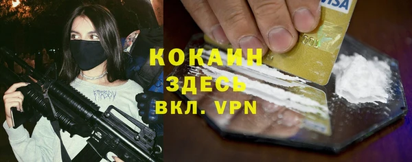 индика Нея