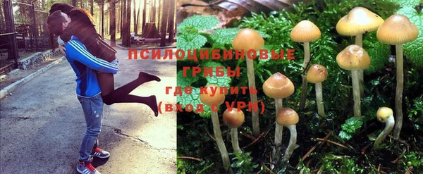 круглые Нефтегорск