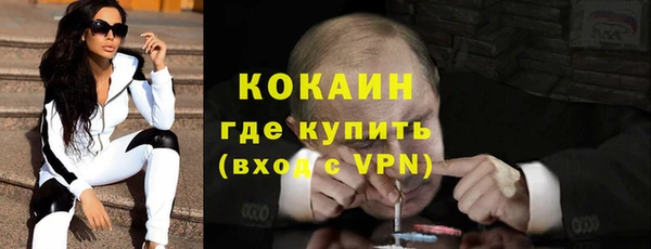 индика Нея