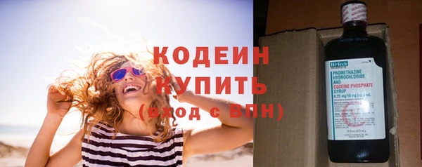 индика Нея