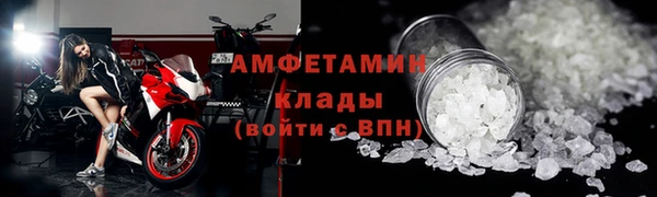 индика Нея