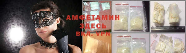 индика Нея