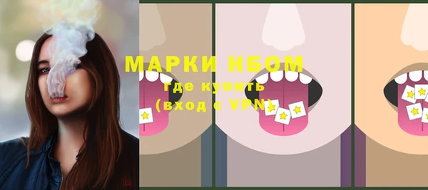 индика Нея