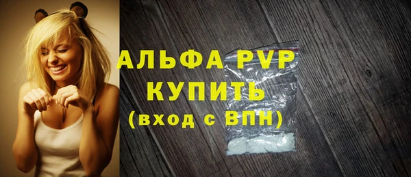 индика Нея