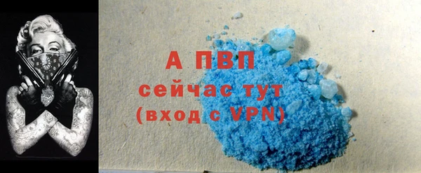 индика Нея