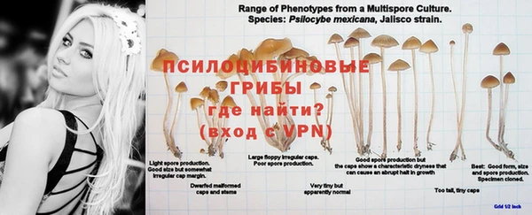 ALPHA PVP Бугульма